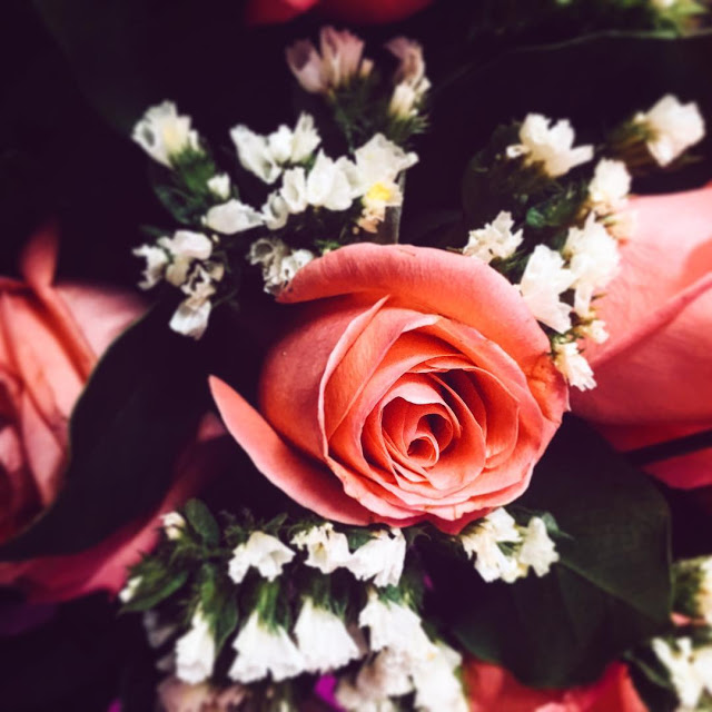 Hình ảnh hoa hồng đẹp nhất cho ngày Valentine 13