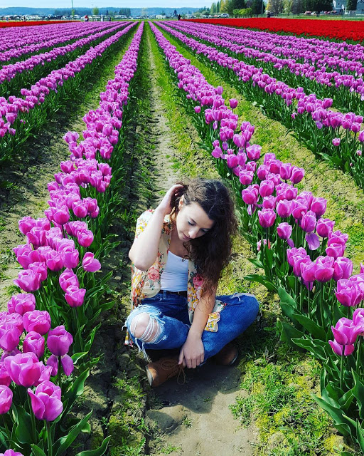 Hình Ảnh Hoa Tulip Đẹp Nhất 9