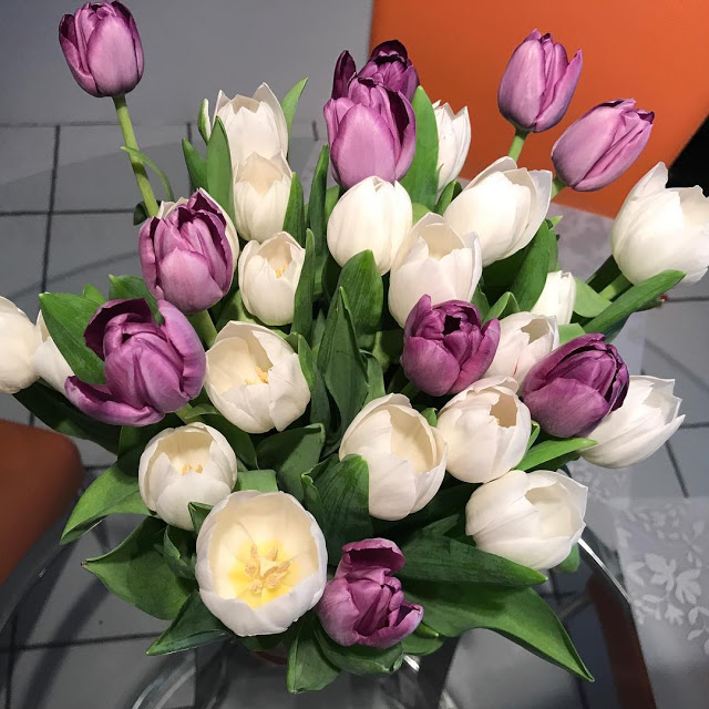Bó Hoa Tulip Trắng Đẹp Nhất