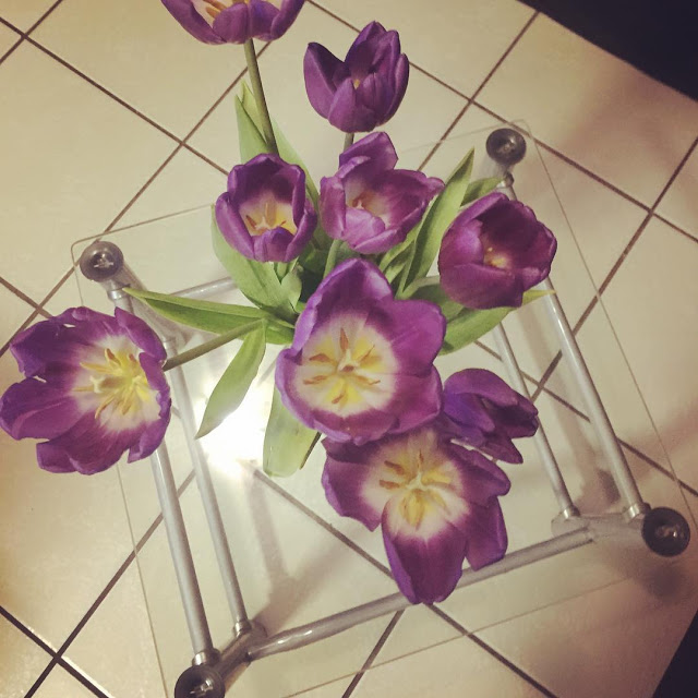 Hình ảnh hoa Tulip Tím đẹp 7