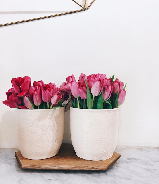 Hình ảnh hoa Tulip Tím đẹp 11