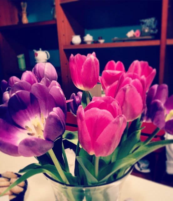 Hình ảnh hoa Tulip Tím đẹp 13