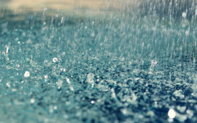 Bài thơ về mưa, bài thơ ngắn về mưa buồn và nỗi nhớ