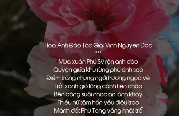 Thơ về Hoa Anh Đào - Chùm Thơ Mùa Hoa Anh Đào Hay Và Ý Nghĩa 4