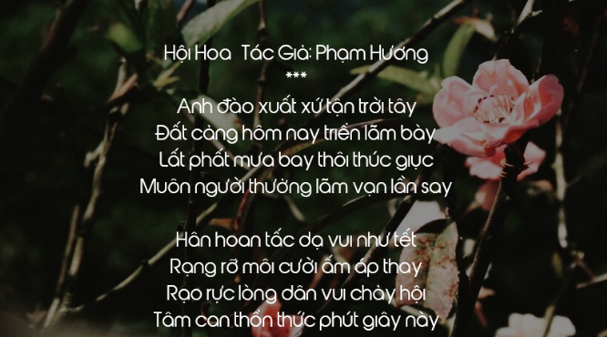 Thơ về Hoa Anh Đào - Chùm Thơ Mùa Hoa Anh Đào Hay Và Ý Nghĩa 3