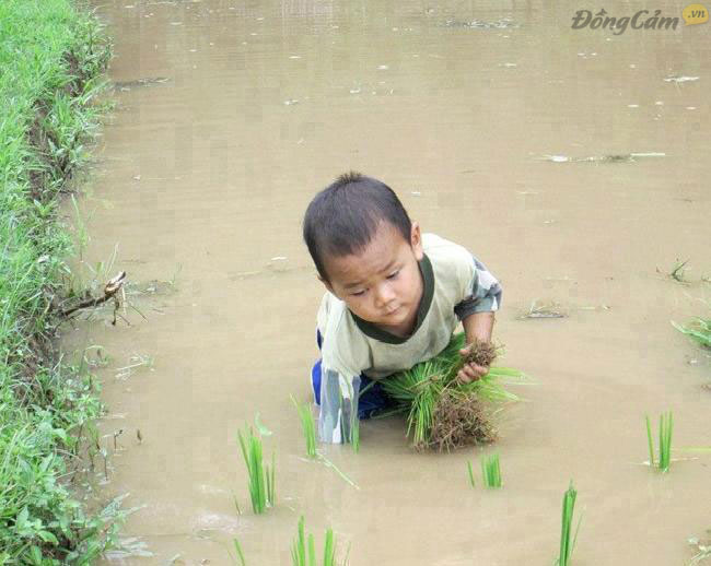 Chùm thơ nói về cuộc đời bất hạnh, thương thay cho số phận