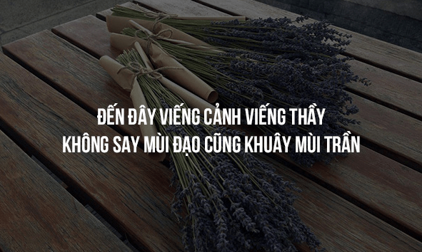 Những STT Về Thầy Cô Hay Nhất Đọc Đến Đâu Hay Đến Đó! 5