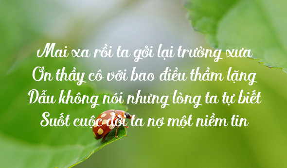 Những STT Về Thầy Cô Hay Nhất Đọc Đến Đâu Hay Đến Đó! 8