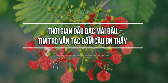 Những STT Về Thầy Cô Hay Nhất Đọc Đến Đâu Hay Đến Đó! 4