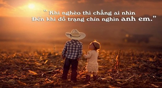 Những Câu nói Hay về Tình Anh Em cực kì ý nghĩa và chính xác! 2