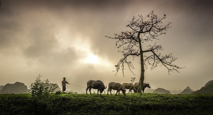 Những bài thơ hay về quê hương - Nơi ngập tràn kí ức tuổi thơ 19