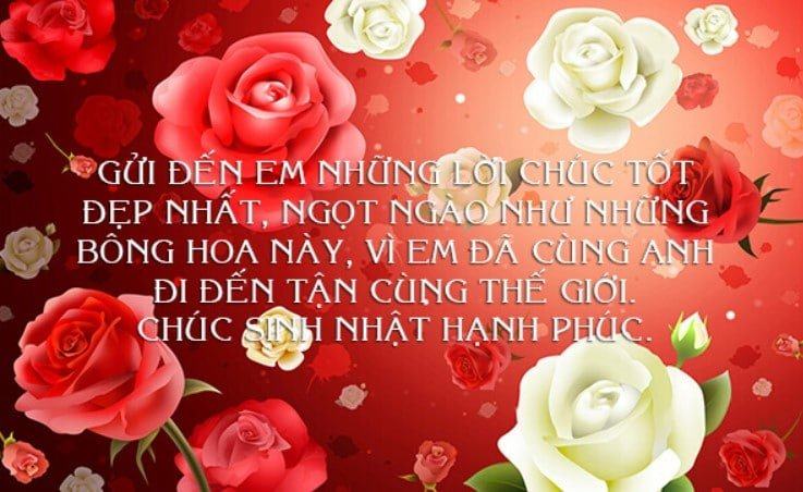 Tổng hợp những lời chúc mừng sinh nhật hay và ý nghĩa nhất không nên bỏ lỡ! 6