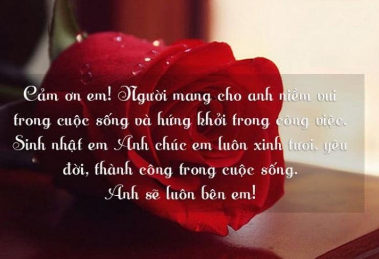 Những lời chúc mừng sinh nhật vợ yêu ngọt ngào lãng mạng 7