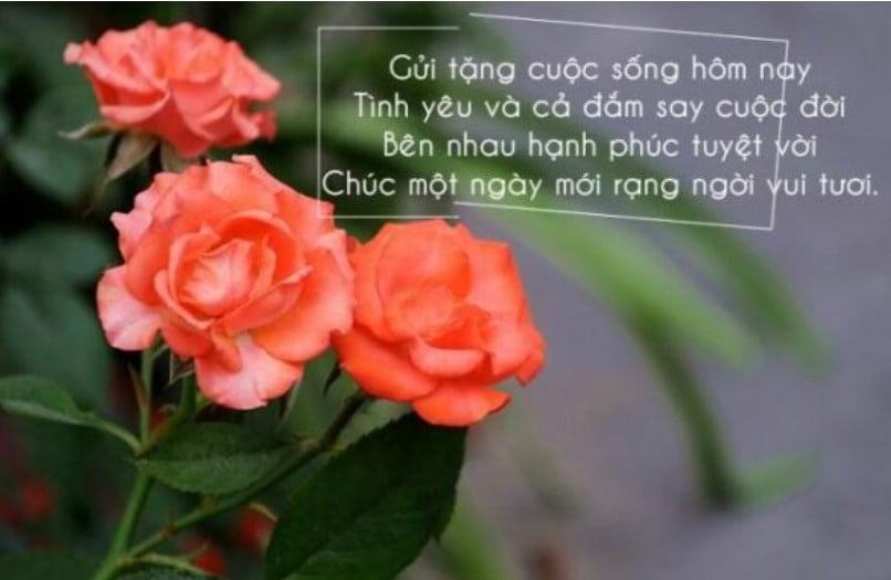 Tổng hợp +666 Lời chúc an lành hay ý nghĩa bạn không nên bỏ qua 3