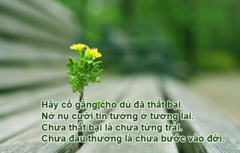 299+ Caption Hay Về Công Việc truyền cảm hứng làm việc 8