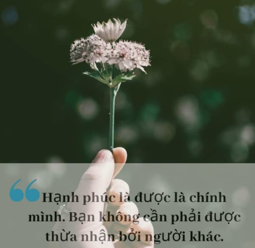 299+ Caption hay về cuộc sống đáng phải suy ngẫm 6