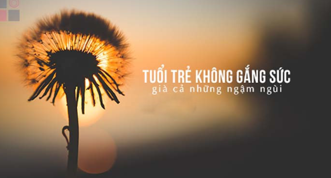 299+ Caption Hay Về Tuổi Trẻ nhiệt huyết và năng động 9