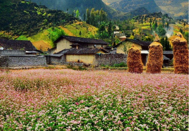 Những bài thơ hay nhất về Hà Giang hùng vĩ và hoang sơ 8