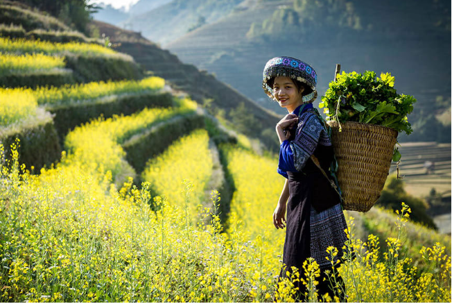 Tổng hợp Những bài Thơ hay về Cảnh đẹp hữu tình 5