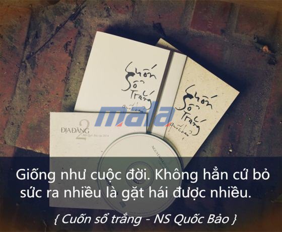 Sưu tầm 1001 stt để đời trong phim và tiểu thuyết hay ý nghĩa nhất mọi thời đại phần 1