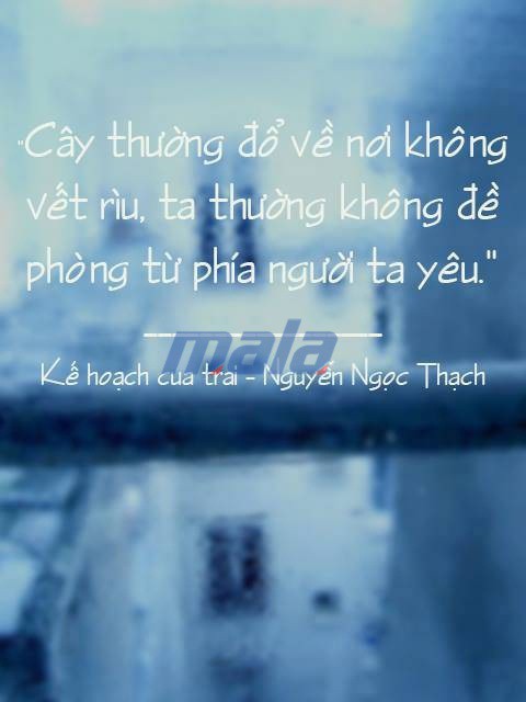 Sưu tầm 1001 stt để đời trong phim và tiểu thuyết hay ý nghĩa nhất mọi thời đại phần 4