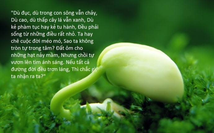 cau-noi-hay-ve-cuoc-song-muu-sinh-7-1675417855.jpg