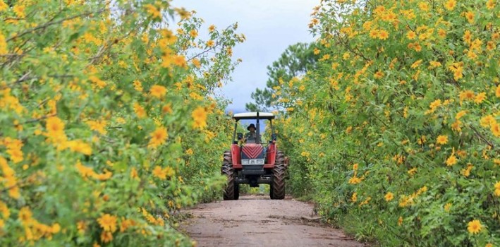 Những bài Thơ hay về cô gái Tây Nguyên ngọt ngào và mạnh mẽ 6