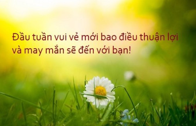 +744 Lời Chúc An Lành Hay Ý nghĩa gửi tặng đến tất cả mọi người thương 2