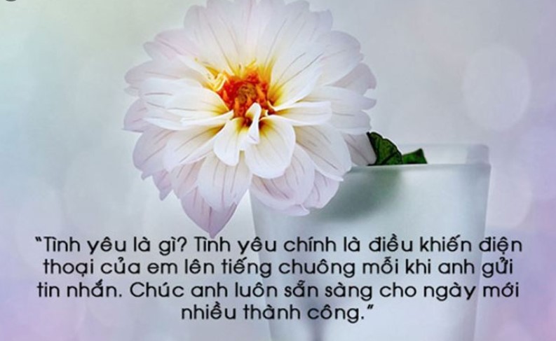 Lời Chúc Ngày Mới Tràn Đầy Năng lượng và Hứng khởi nhất mọi thời đại 2