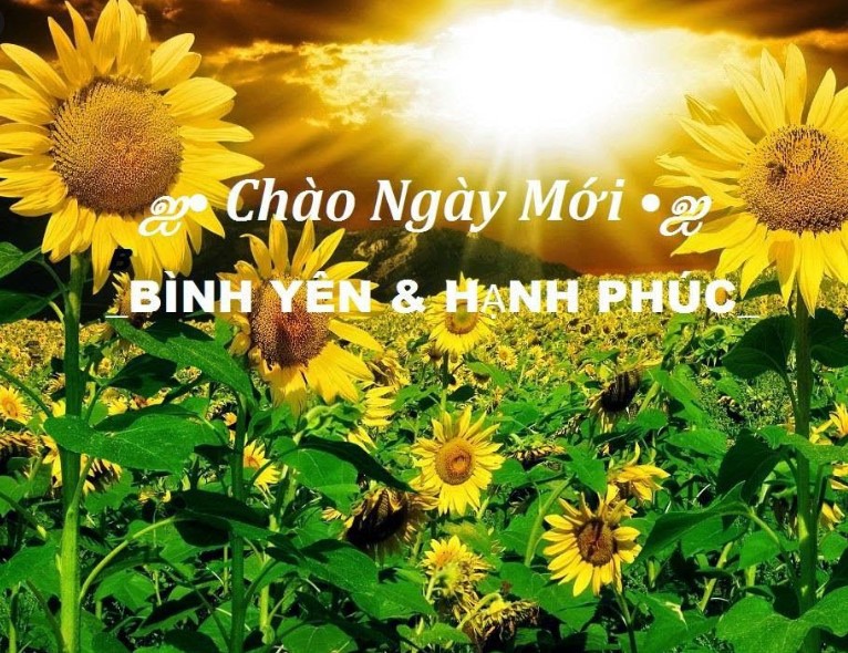 Lời Chúc Ngày Mới Tràn Đầy Năng lượng và Hứng khởi nhất mọi thời đại 6