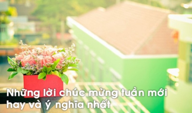 +744 Lời Chúc An Lành Hay Ý nghĩa gửi tặng đến tất cả mọi người thương 4