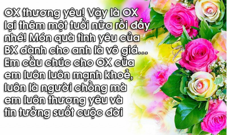 Lời Chúc Mừng Sinh Nhật Chồng tình cảm và lãng mạn nhất 3