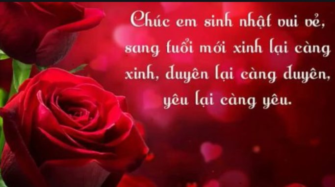 Lời Chúc Mừng Sinh Nhật Vợ Yêu Hay Ý Nghĩa 3