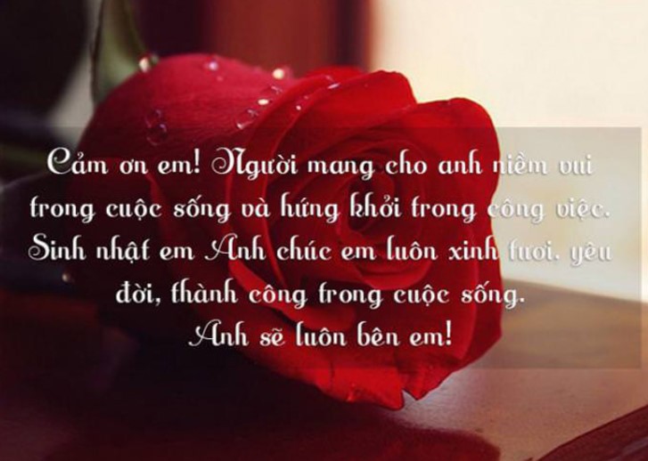 Lời Chúc Mừng Sinh Nhật Vợ Yêu Hay Ý Nghĩa 5