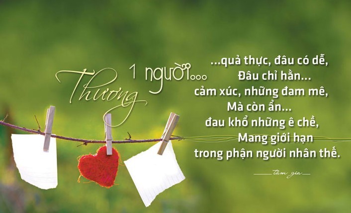 nhung-cau-noi-hay-ve-tinh-yeu-don-phuong-5-1675775412.jpg