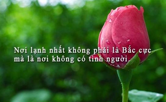 Stt thất vọng về bản thân hay nhất