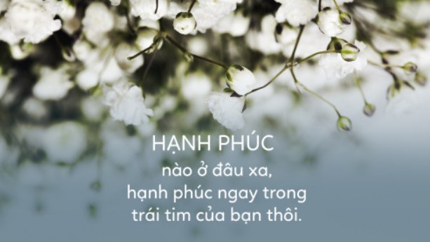 Những Stt Hạnh Phúc, Ý nghĩa trong Tình yêu và Cuộc sống 3