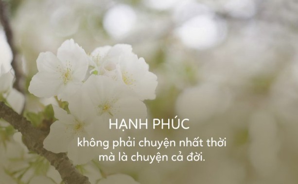 Những Stt Hạnh Phúc, Ý nghĩa trong Tình yêu và Cuộc sống 4