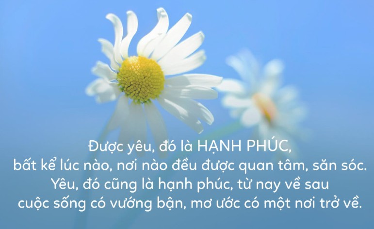 Những Stt Hạnh Phúc, Ý nghĩa trong Tình yêu và Cuộc sống 8