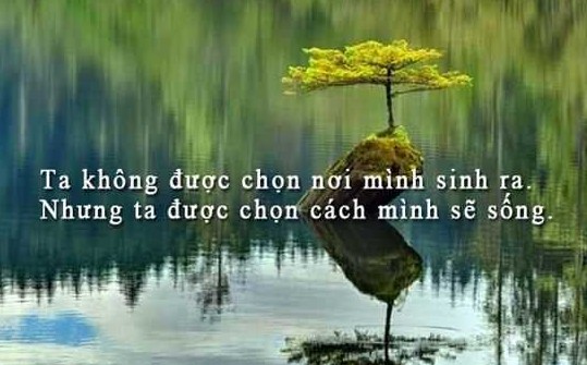 Những STT Hay và Ý nghĩa về Tình yêu, Gia đình và Cuộc sống 8