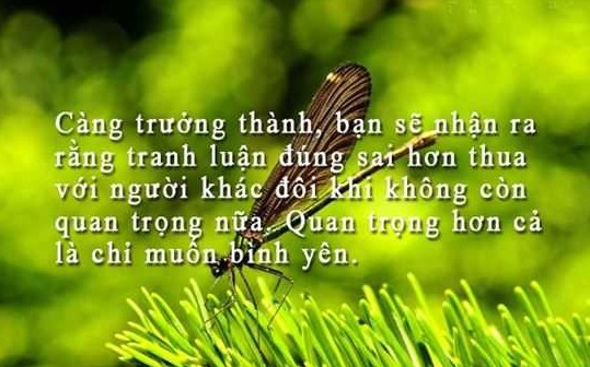 Những STT Hay và Ý nghĩa về Tình yêu, Gia đình và Cuộc sống 9