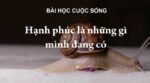 Những Stt Yêu Thương Ngọt Ngào, lãng mạng được chia sẻ nhiều trên MHX 1