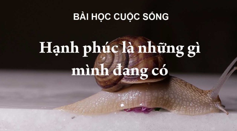 Những Stt Yêu Thương Ngọt Ngào, lãng mạng được chia sẻ nhiều trên MHX 2