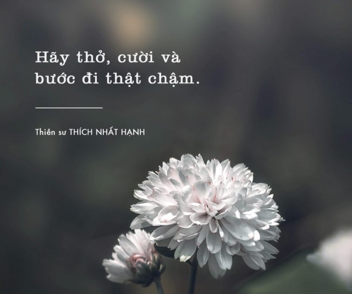 thien-su-thich-nhat-hanh-8-1677643554.jpg