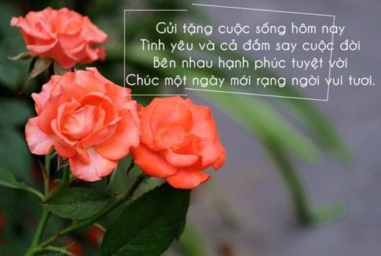 Lời Chúc Buổi Sáng Hay và tràn đầy năng lượng cho ngày mới 3