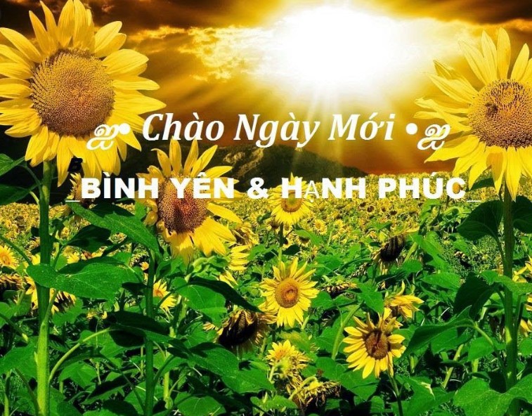 Lời Chúc Buổi Sáng Hay và tràn đầy năng lượng cho ngày mới 5