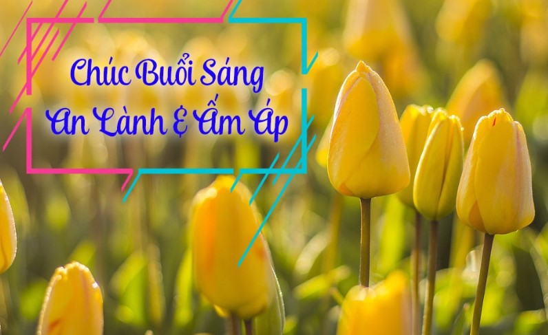 Lời Chúc Buổi Sáng Hay và tràn đầy năng lượng cho ngày mới 7